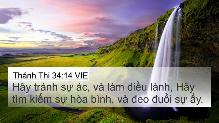 Thánh Thi 34:14 VIE Bible Verse Image