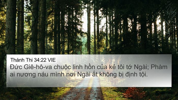 Thánh Thi 34:22 VIE 4K Wallpaper - Đức Giê-hô-va chuộc linh hồn của kẻ - 4K Wallpaper Bible Verse
