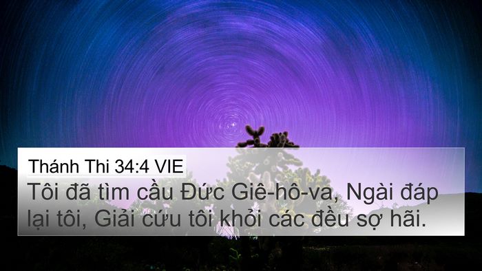Thánh Thi 34:4 VIE Bible Verse Image