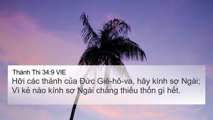 Thánh Thi 34:9 VIE Bible Verse Image