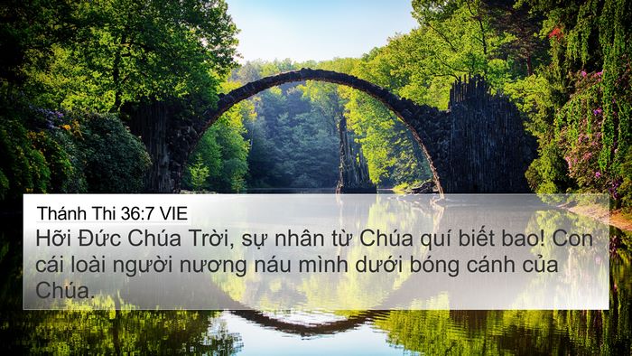 Thánh Thi 36:7 VIE Bible Verse Image