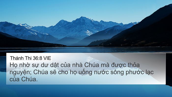 Thánh Thi 36:8 VIE Bible Verse Image