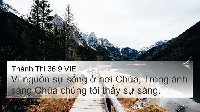 Thánh Thi 36:9 VIE Bible Verse Image