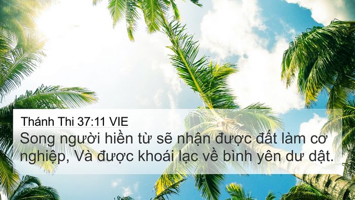 Thánh Thi 37:11 VIE Bible Verse Image