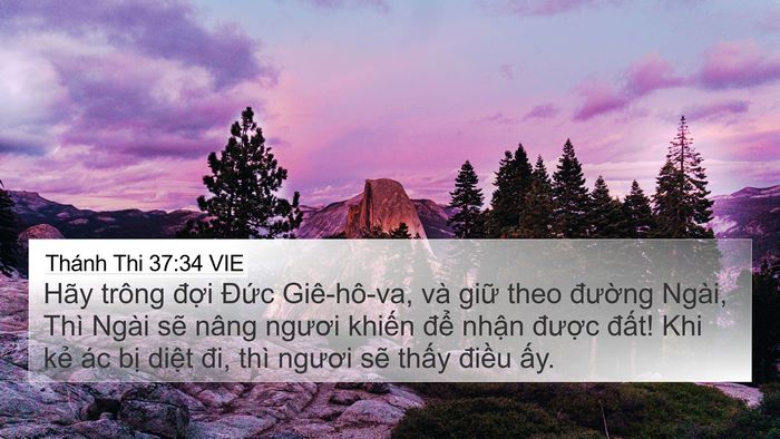 Thánh Thi 37:34 VIE Bible Verse Image