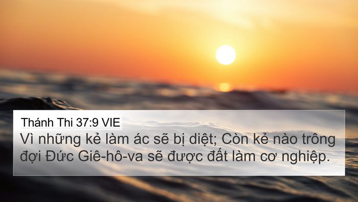 Thánh Thi 37:9 VIE 4K Wallpaper - Vì những kẻ làm ác sẽ bị diệt; Còn - 4K Wallpaper Bible Verse