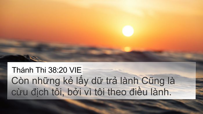 Thánh Thi 38:20 VIE Bible Verse Image