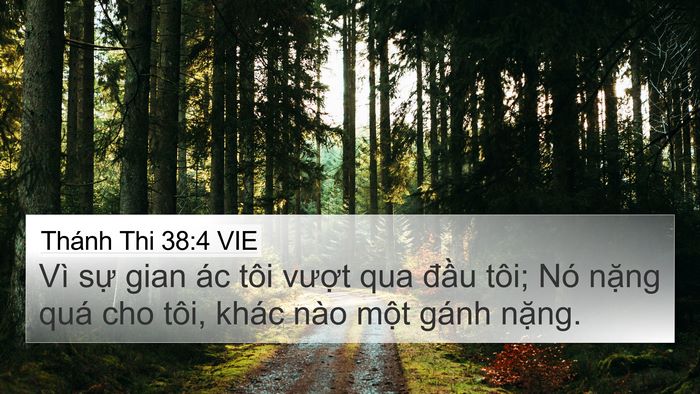 Thánh Thi 38:4 VIE 4K Wallpaper - Vì sự gian ác tôi vượt qua đầu tôi; - 4K Wallpaper Bible Verse