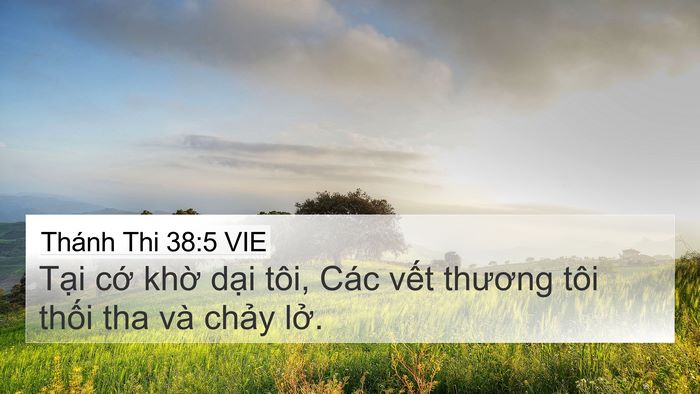 Thánh Thi 38:5 VIE 4K Wallpaper - Tại cớ khờ dại tôi, Các vết thương - 4K Wallpaper Bible Verse