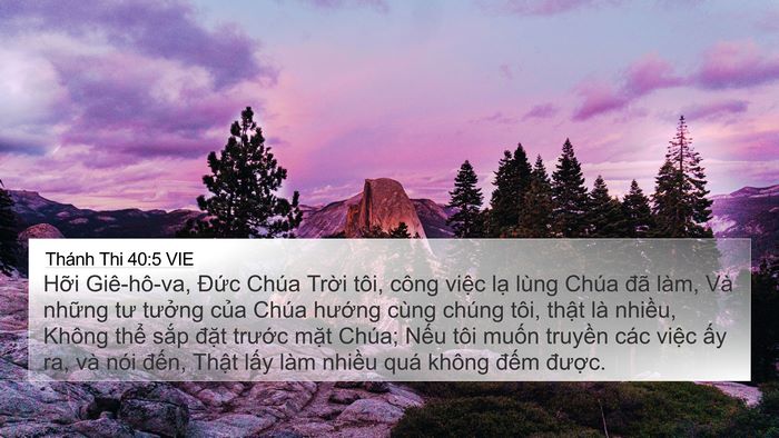 Thánh Thi 40:5 VIE Bible Verse Image