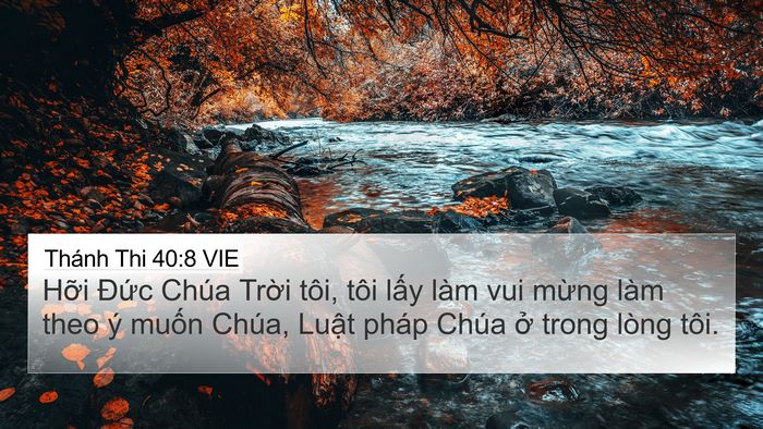Thánh Thi 40:8 VIE Bible Verse Image