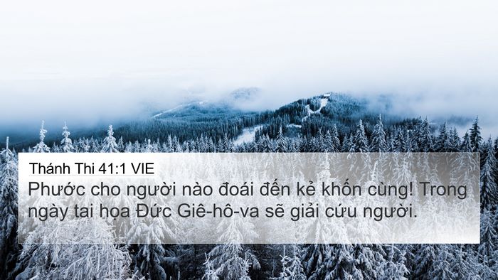 Thánh Thi 41:1 VIE Bible Verse Image