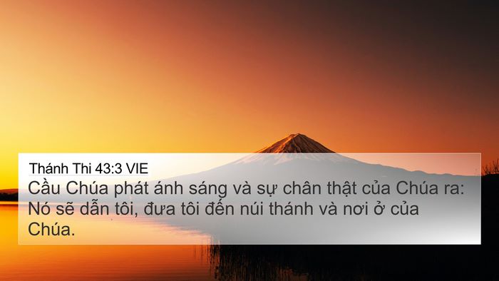 Thánh Thi 43:3 VIE Bible Verse Image