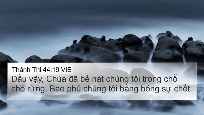 Thánh Thi 44:19 VIE Bible Verse Image