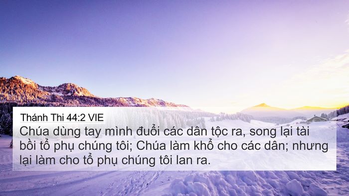 Thánh Thi 44:2 VIE Bible Verse Image