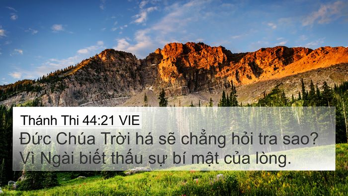 Thánh Thi 44:21 VIE Bible Verse Image