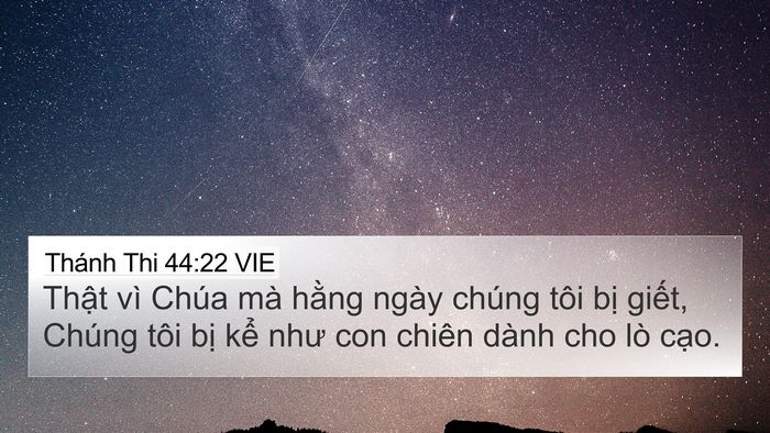 Thánh Thi 44:22 VIE Bible Verse Image