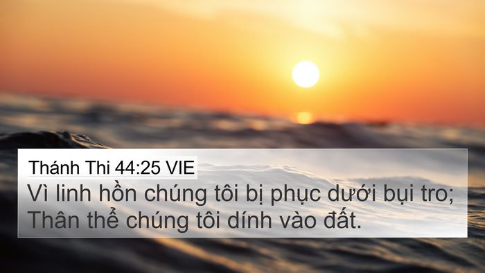 Thánh Thi 44:25 VIE Bible Verse Image