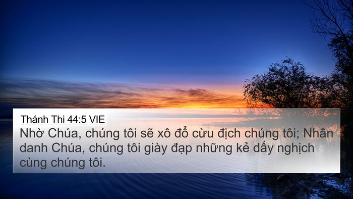 Thánh Thi 44:5 VIE Bible Verse Image
