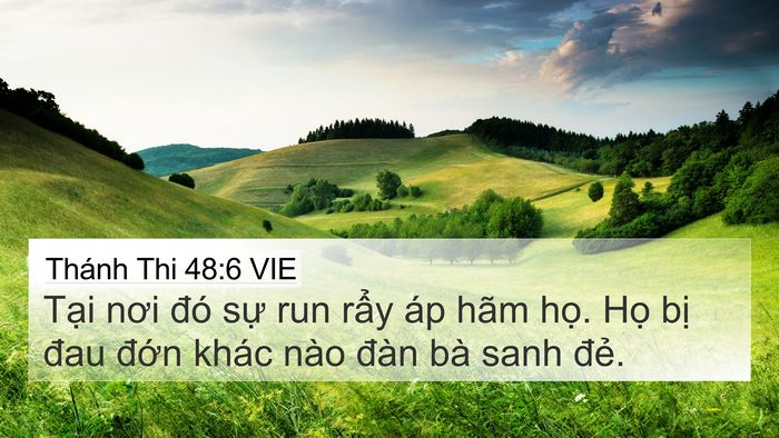 Thánh Thi 48:6 VIE Bible Verse Image