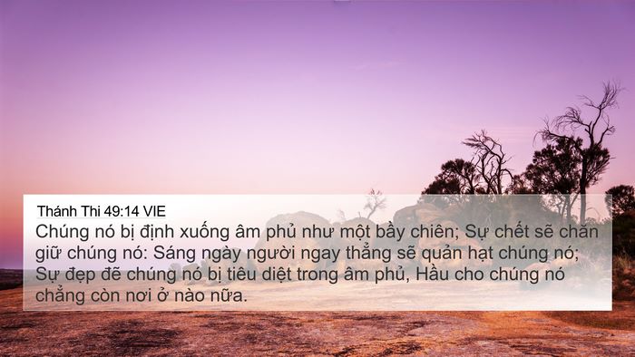 Thánh Thi 49:14 VIE Bible Verse Image