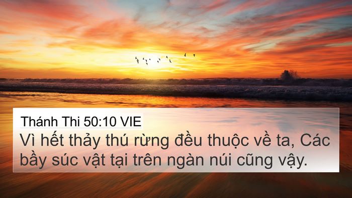 Thánh Thi 50:10 VIE Bible Verse Image