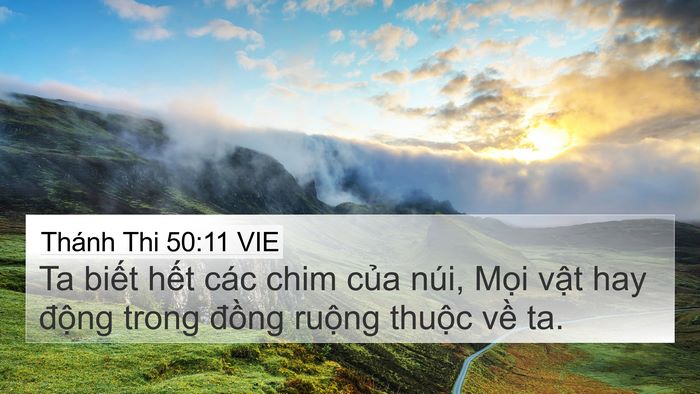 Thánh Thi 50:11 VIE 4K Wallpaper - Ta biết hết các chim của núi, Mọi vật - 4K Wallpaper Bible Verse