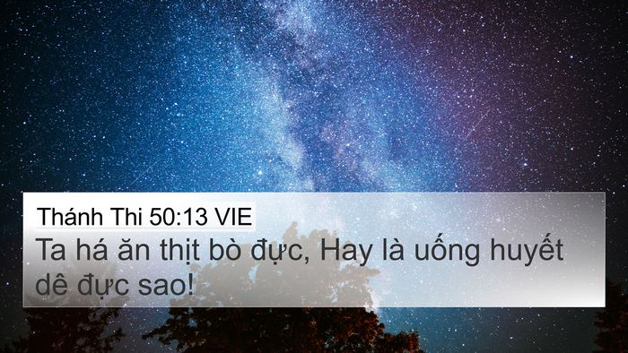 Thánh Thi 50:13 VIE Bible Verse Image
