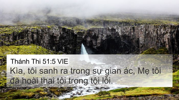 Thánh Thi 51:5 VIE Bible Verse Image