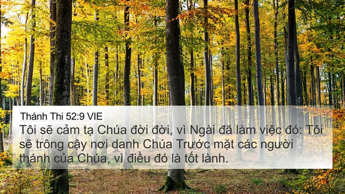 Thánh Thi 52:9 VIE Bible Verse Image