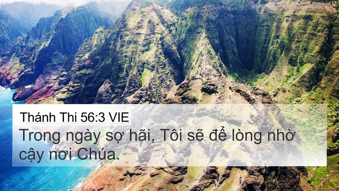 Thánh Thi 56:3 VIE Bible Verse Image