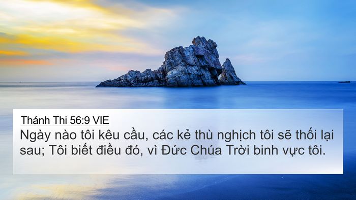 Thánh Thi 56:9 VIE Bible Verse Image