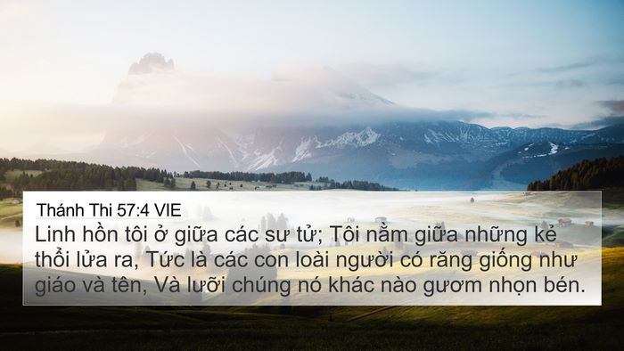 Thánh Thi 57:4 VIE Bible Verse Image