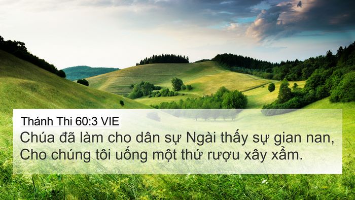 Thánh Thi 60:3 VIE Bible Verse Image