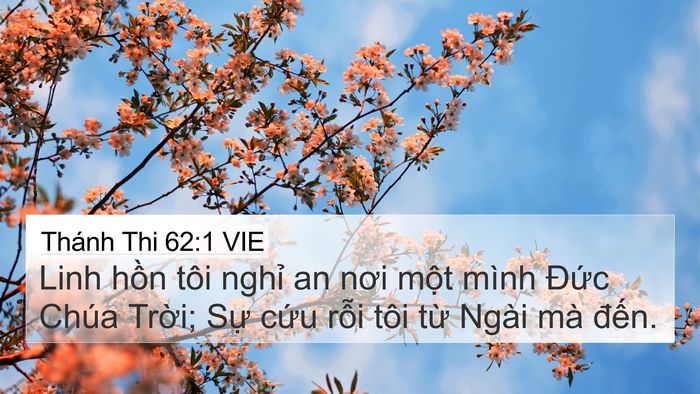 Thánh Thi 62:1 VIE Bible Verse Image