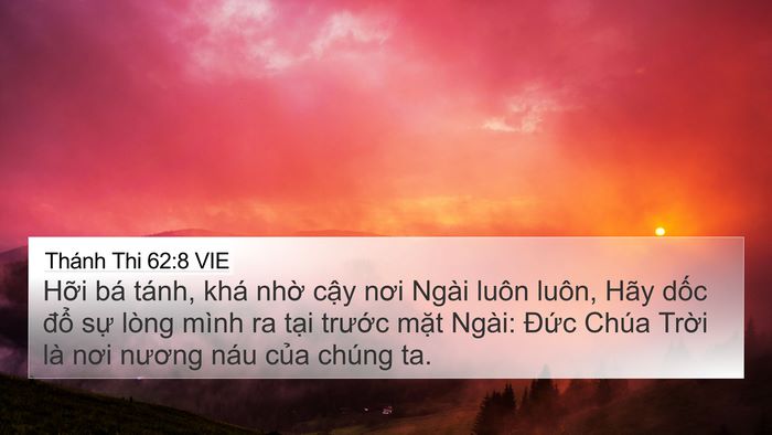 Thánh Thi 62:8 VIE Bible Verse Image