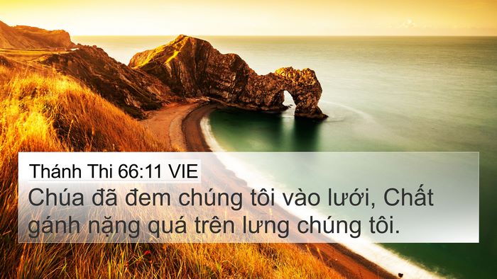 Thánh Thi 66:11 VIE Bible Verse Image