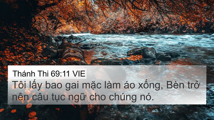 Thánh Thi 69:11 VIE Bible Verse Image