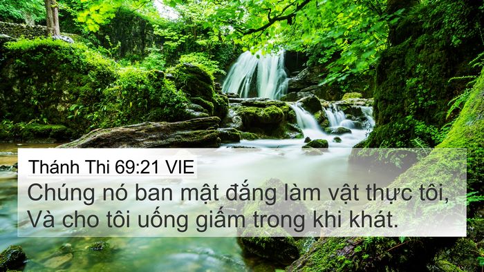 Thánh Thi 69:21 VIE Bible Verse Image