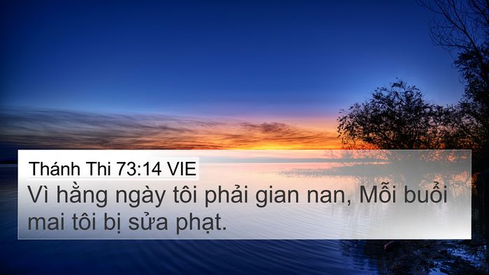 Thánh Thi 73:14 VIE Bible Verse Image