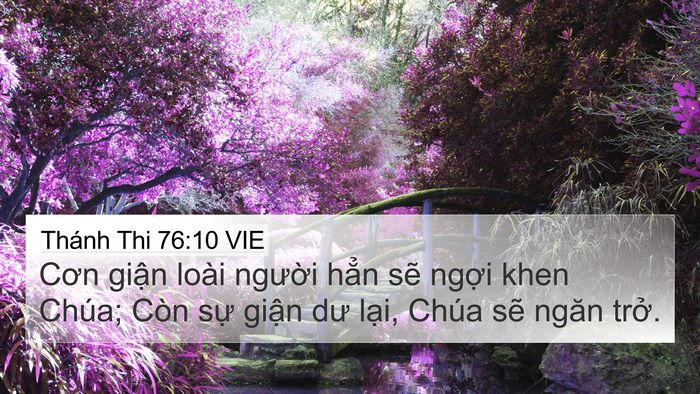 Thánh Thi 76:10 VIE Bible Verse Image