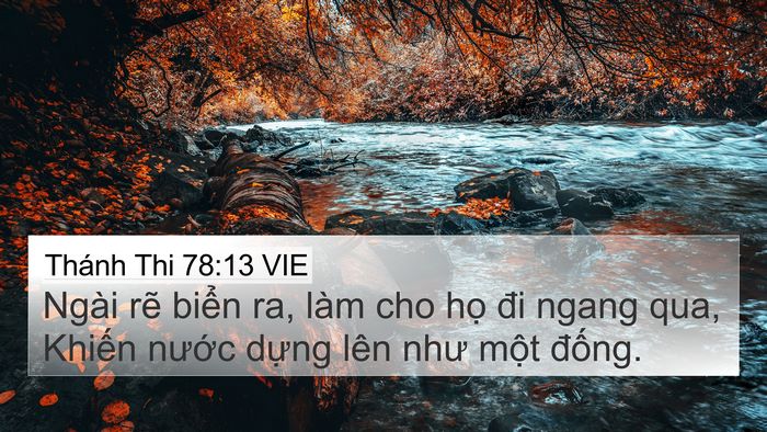 Thánh Thi 78:13 VIE Bible Verse Image