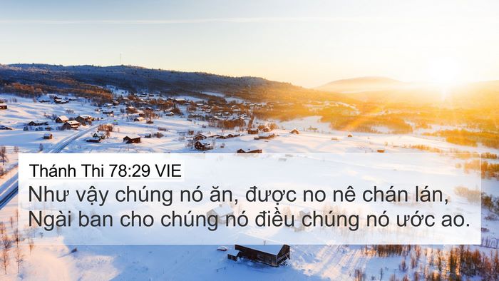 Thánh Thi 78:29 VIE Bible Verse Image