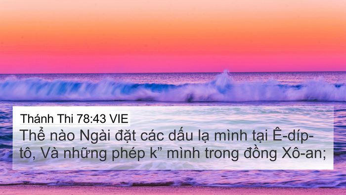 Thánh Thi 78:43 VIE Bible Verse Image
