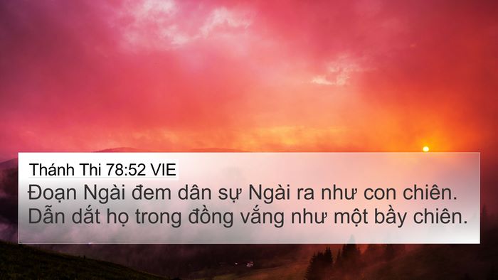Thánh Thi 78:52 VIE Bible Verse Image
