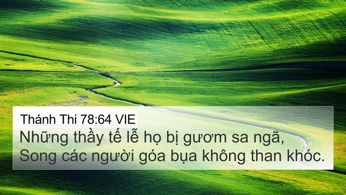 Thánh Thi 78:64 VIE Bible Verse Image