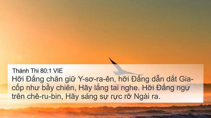 Thánh Thi 80:1 VIE Bible Verse Image