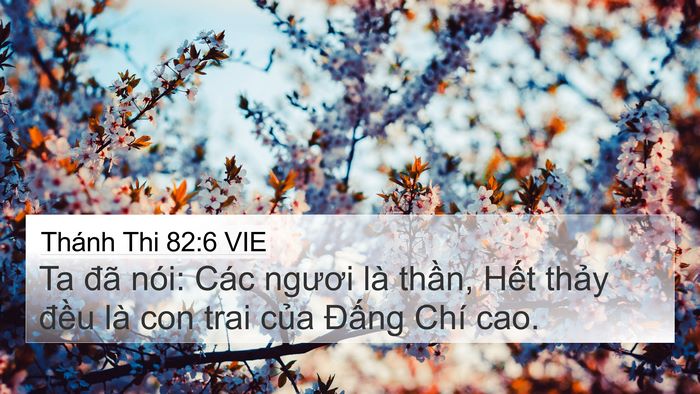 Thánh Thi 82:6 VIE Bible Verse Image