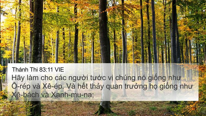Thánh Thi 83:11 VIE 4K Wallpaper - Hãy làm cho các người tước vị chúng - 4K Wallpaper Bible Verse