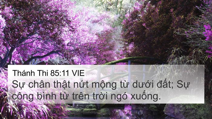 Thánh Thi 85:11 VIE Bible Verse Image